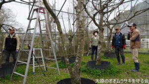 3月25日　定例活動