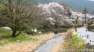 4月1日　定例活動