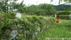 5月6日　定例活動
